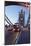 Red Bus on Tower Bridge, London, England, United Kingdom, Europe-Markus Lange-Mounted Photographic Print