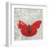 Red Butterfly-Alan Hopfensperger-Framed Art Print