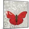 Red Butterfly-Alan Hopfensperger-Mounted Art Print