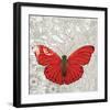 Red Butterfly-Alan Hopfensperger-Framed Art Print