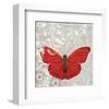 Red Butterfly-Alan Hopfensperger-Framed Art Print