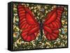 Red Butterfly-Holly Carr-Framed Stretched Canvas