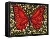 Red Butterfly-Holly Carr-Framed Stretched Canvas