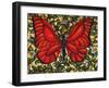 Red Butterfly-Holly Carr-Framed Giclee Print