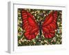 Red Butterfly-Holly Carr-Framed Giclee Print