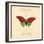 Red Butterfly-Artique Studio-Framed Art Print