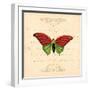 Red Butterfly-Artique Studio-Framed Art Print