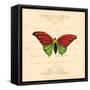 Red Butterfly-Artique Studio-Framed Stretched Canvas