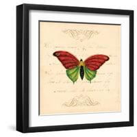 Red Butterfly-Artique Studio-Framed Art Print