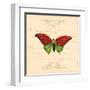 Red Butterfly-Artique Studio-Framed Art Print