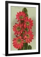 Red Cactus Flowers-null-Framed Art Print