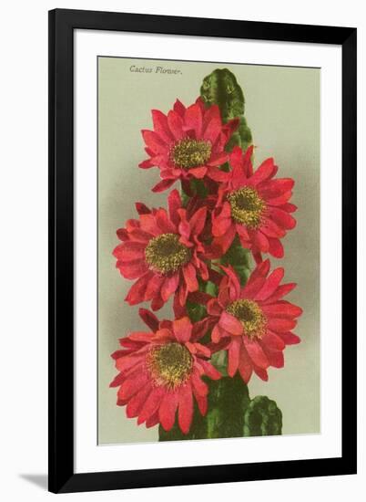 Red Cactus Flowers-null-Framed Art Print