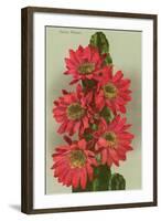 Red Cactus Flowers-null-Framed Art Print