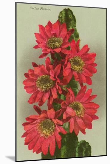 Red Cactus Flowers-null-Mounted Art Print