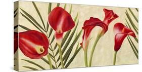 Red Callas-Jenny Thomlinson-Stretched Canvas