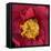 Red Camelia-Magda Indigo-Framed Stretched Canvas