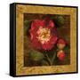 Red Camellias I-John Seba-Framed Stretched Canvas