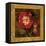 Red Camellias I-John Seba-Framed Stretched Canvas