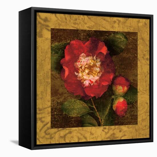 Red Camellias I-John Seba-Framed Stretched Canvas