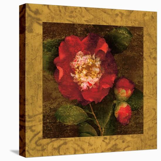 Red Camellias I-John Seba-Stretched Canvas