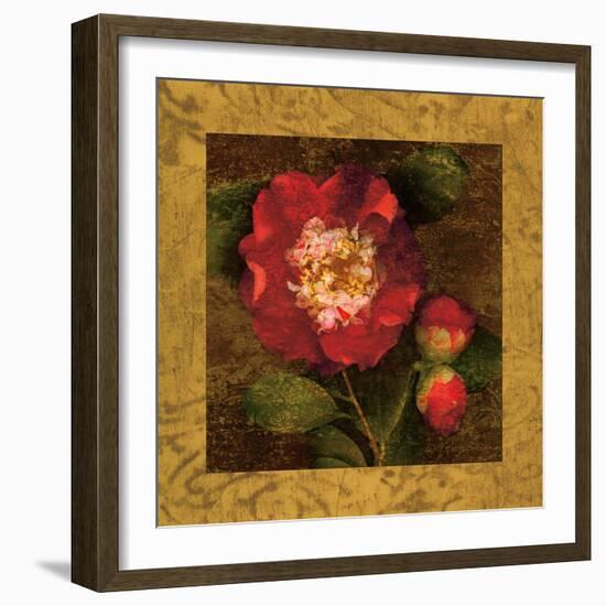 Red Camellias I-John Seba-Framed Art Print