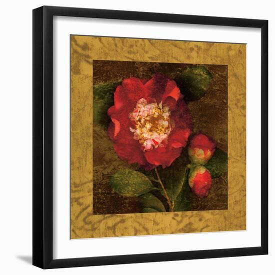 Red Camellias I-John Seba-Framed Art Print