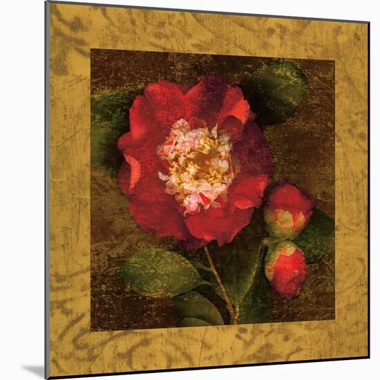 Red Camellias I-John Seba-Mounted Art Print