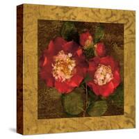 Red Camellias II-John Seba-Stretched Canvas