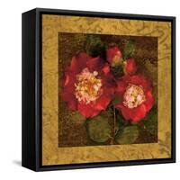 Red Camellias II-John Seba-Framed Stretched Canvas