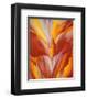 Red Canna-Georgia O'Keeffe-Framed Art Print