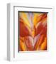 Red Canna-Georgia O'Keeffe-Framed Art Print