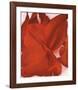 Red Cannas-Georgia O'Keeffe-Framed Art Print