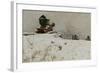 Red cannon, 1880 oil on board-Fritz Thaulow-Framed Giclee Print