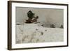 Red cannon, 1880 oil on board-Fritz Thaulow-Framed Giclee Print