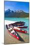 Red Canoes for Hire-Neale Clark-Mounted Photographic Print