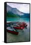 Red Canoes On Emerald Lake, British Columbia-George Oze-Framed Stretched Canvas