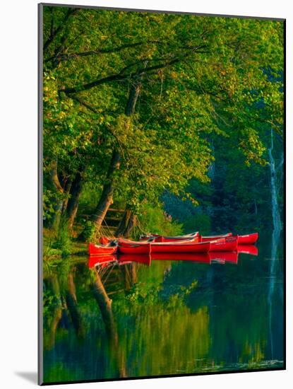 Red Canoes-Steven Maxx-Mounted Photographic Print