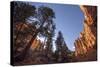 Red Canyon, Dixie National Forest, Utah-Rob Sheppard-Stretched Canvas
