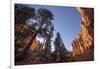 Red Canyon, Dixie National Forest, Utah-Rob Sheppard-Framed Photographic Print