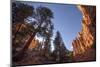 Red Canyon, Dixie National Forest, Utah-Rob Sheppard-Mounted Photographic Print