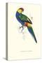 Red Capped Parakeet Male -Purpureicephalus Spurius-Edward Lear-Stretched Canvas