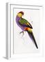 Red-Capped Parrot, Purpureicephalus Spurius-Edward Lear-Framed Giclee Print