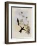 Red-Capped Thorn-Bill, Ramphomicron Ruficeps-John Gould-Framed Giclee Print