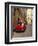 Red Car Parked in Narrow Street, Siena, Tuscany, Italy-Ruth Tomlinson-Framed Premium Photographic Print