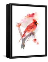 Red Cardinal, 2016-John Keeling-Framed Stretched Canvas