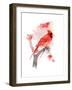 Red Cardinal, 2016-John Keeling-Framed Giclee Print