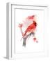 Red Cardinal, 2016-John Keeling-Framed Giclee Print