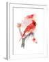 Red Cardinal, 2016-John Keeling-Framed Giclee Print