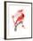 Red Cardinal, 2016-John Keeling-Framed Giclee Print