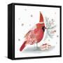 Red Cardinal I-PI Studio-Framed Stretched Canvas